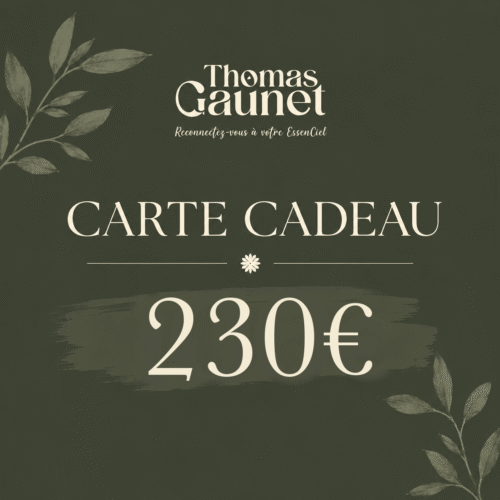 Bon Cadeau — 230€