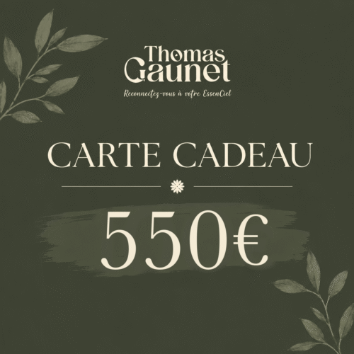 Bon Cadeau — 550€